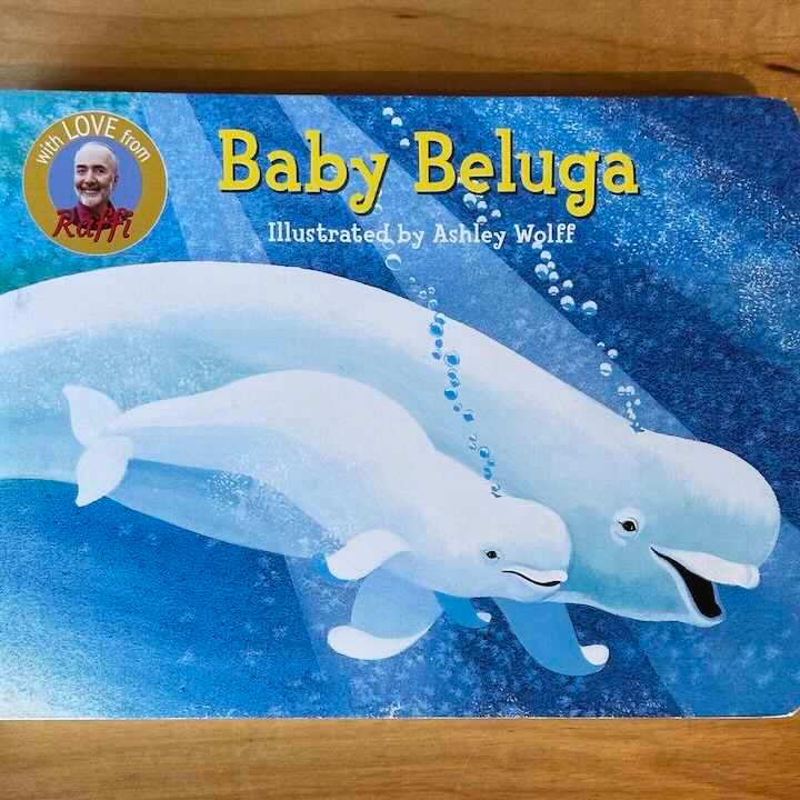 Baby Beluga Board Book