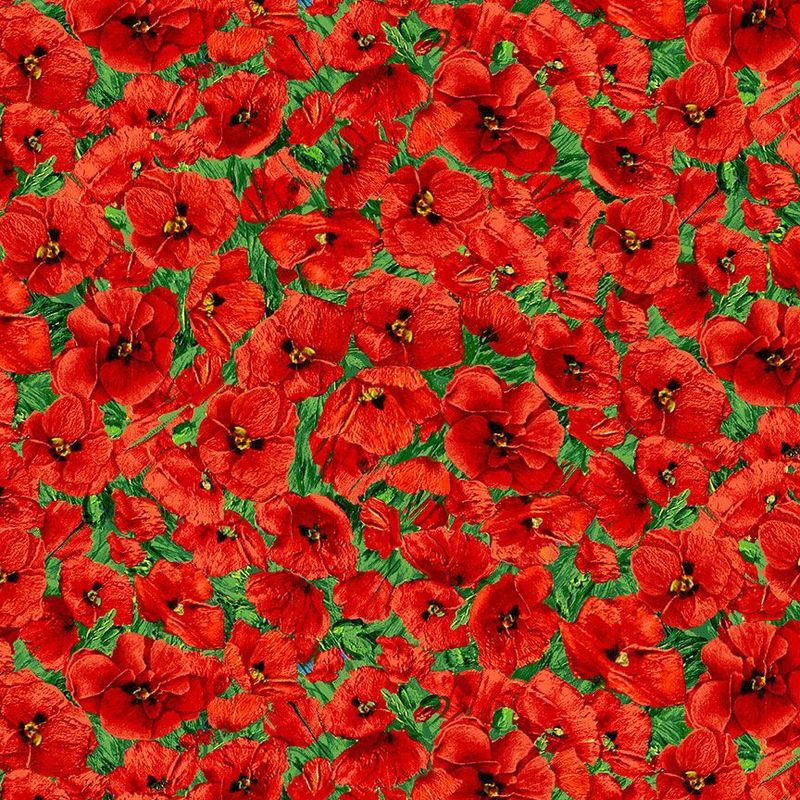 Forest Bloom - Poppies