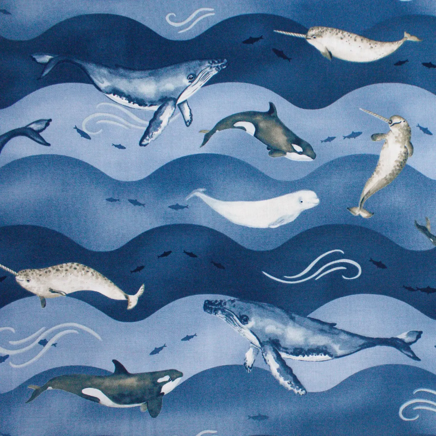 Whales and Waves | Polar Plungers