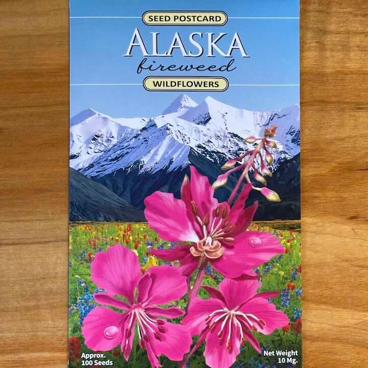 Alaska Wildflower Seed Postcards Alaska Wildflower Seed Postcards, Flower: Fireweed