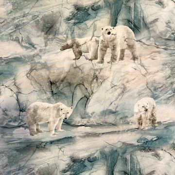 NC Tundra Crossing Scenic