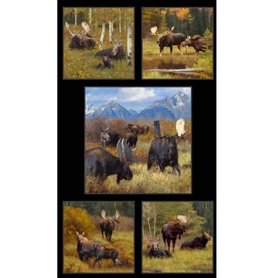 Moose