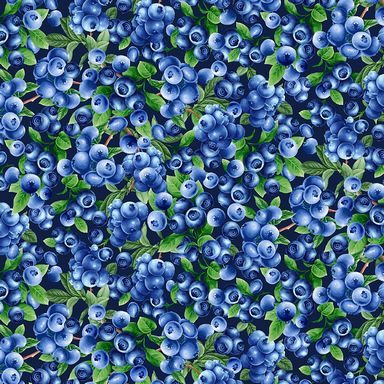 Blueberry Bush I Fresh Fruit