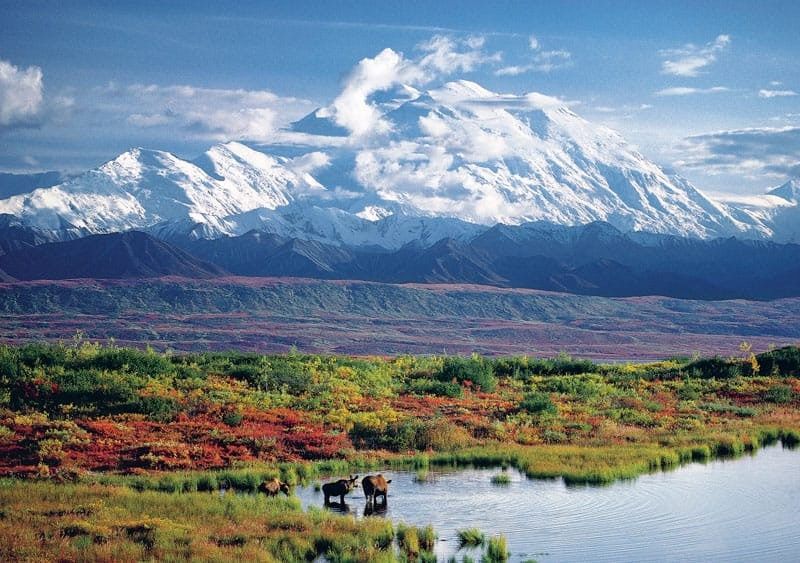 Denali Autumn - Alaska Photo Notecard