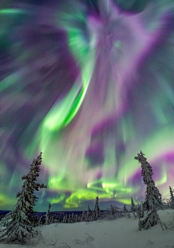 Midnight Embrace - Alaska Photo Notecard