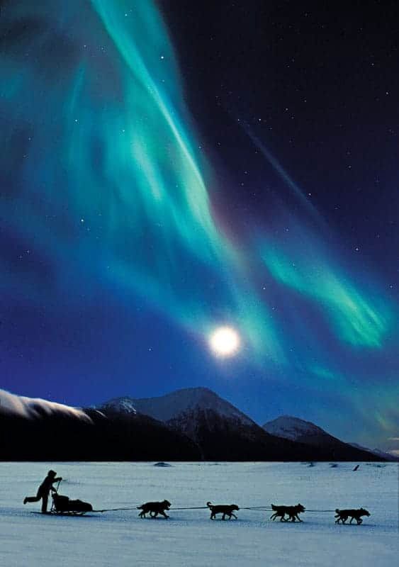 Northern Lights & Musher - Alaska Photo Notecard