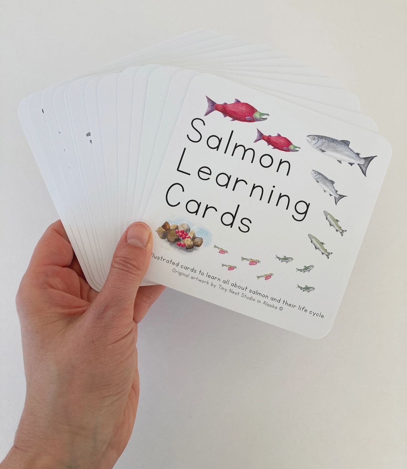 Alaska Learning Cards