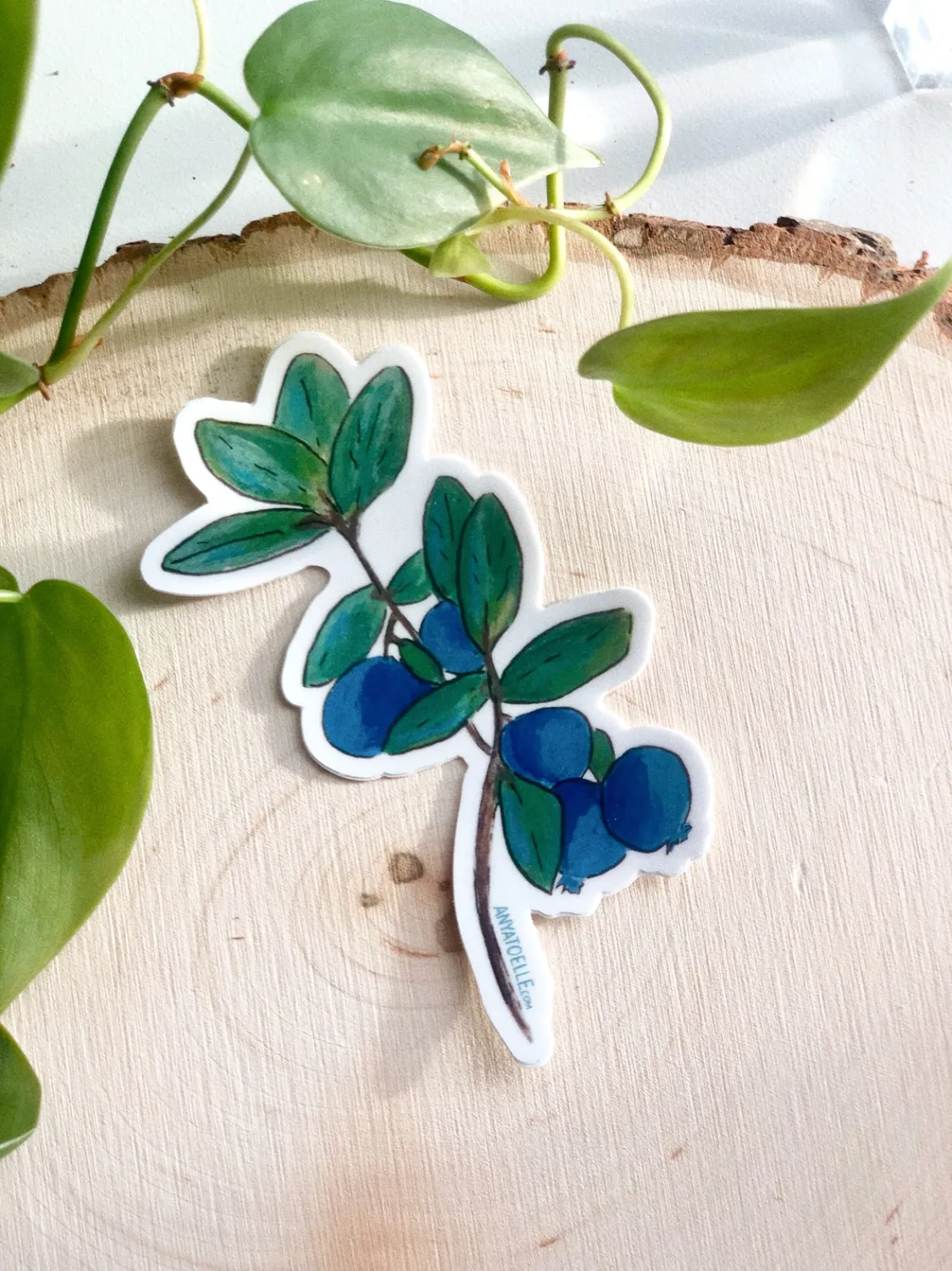 Blueberry Sticker