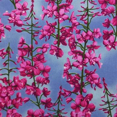 Fireweed Digital Print
