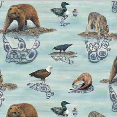 Wildlife | Native Reflections