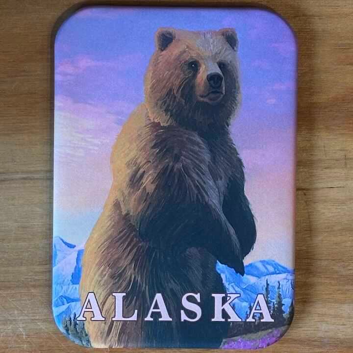 Wildlife Magnets Wildlife Magnets, Design: Brown Bear