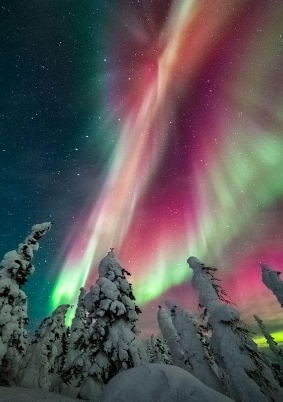 Winter's Kiss - Alaska Photo Notecard