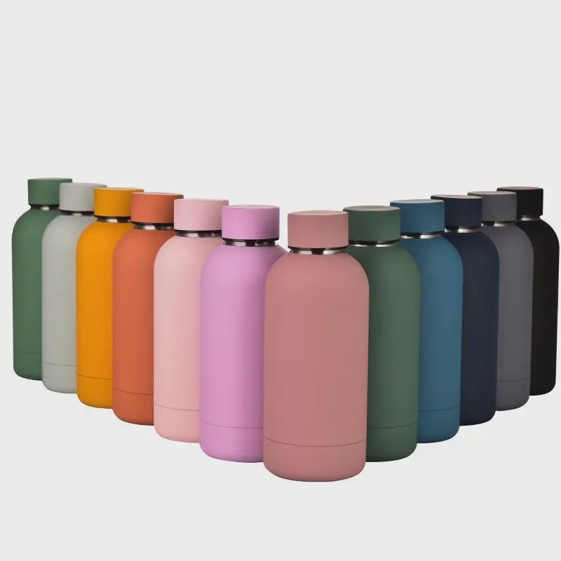 Stainless Steel Insulated Water Bottle