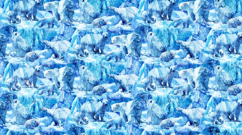 Packed Polar Bears | Illuminations