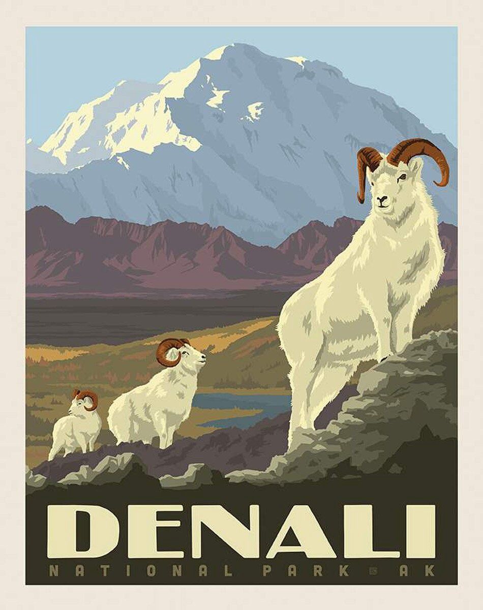 Denali National Park Poster 36" Panel