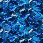 Sea Life