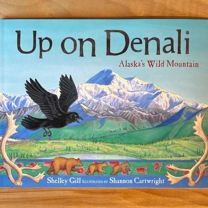 Up on Denali