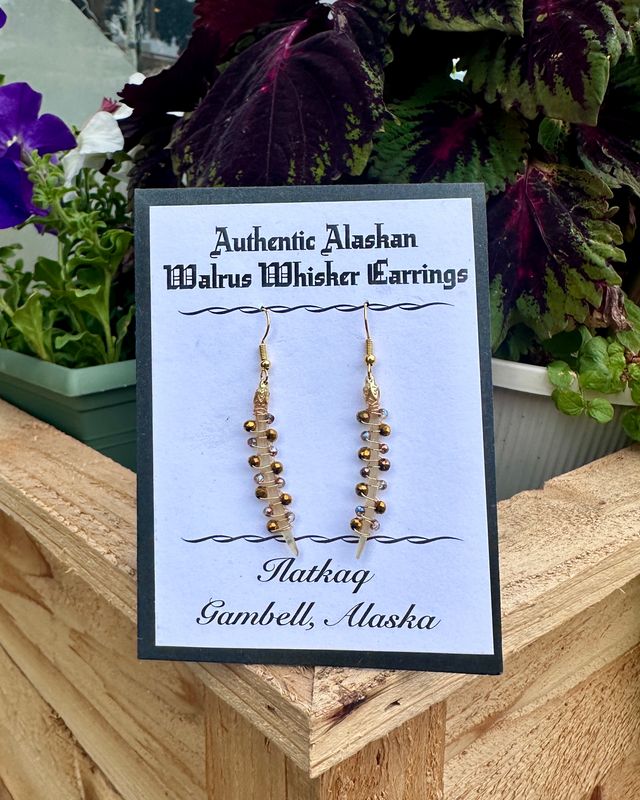 Alaskan Walrus Whisker Earrings
