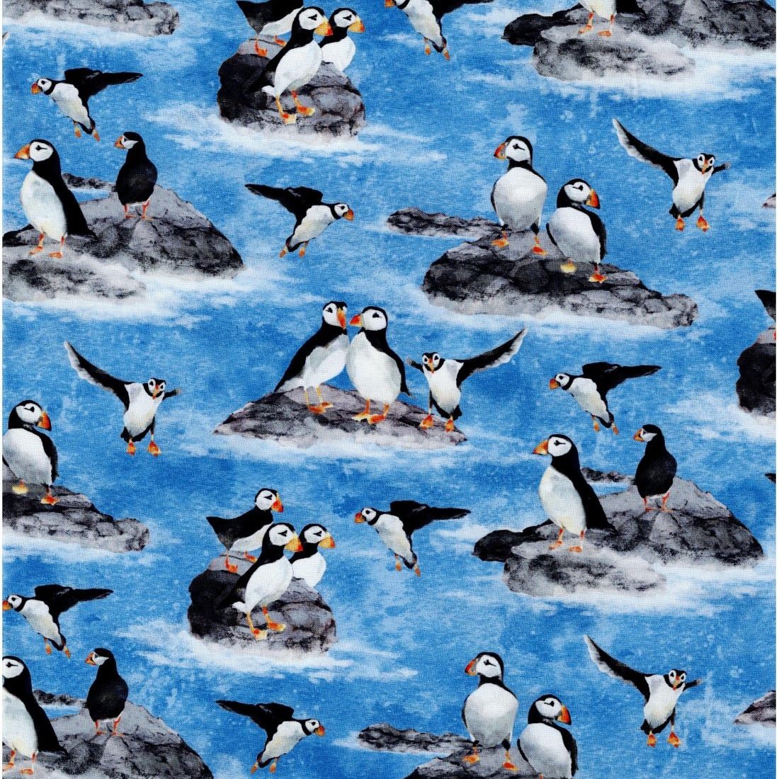 Puffins On Rocks