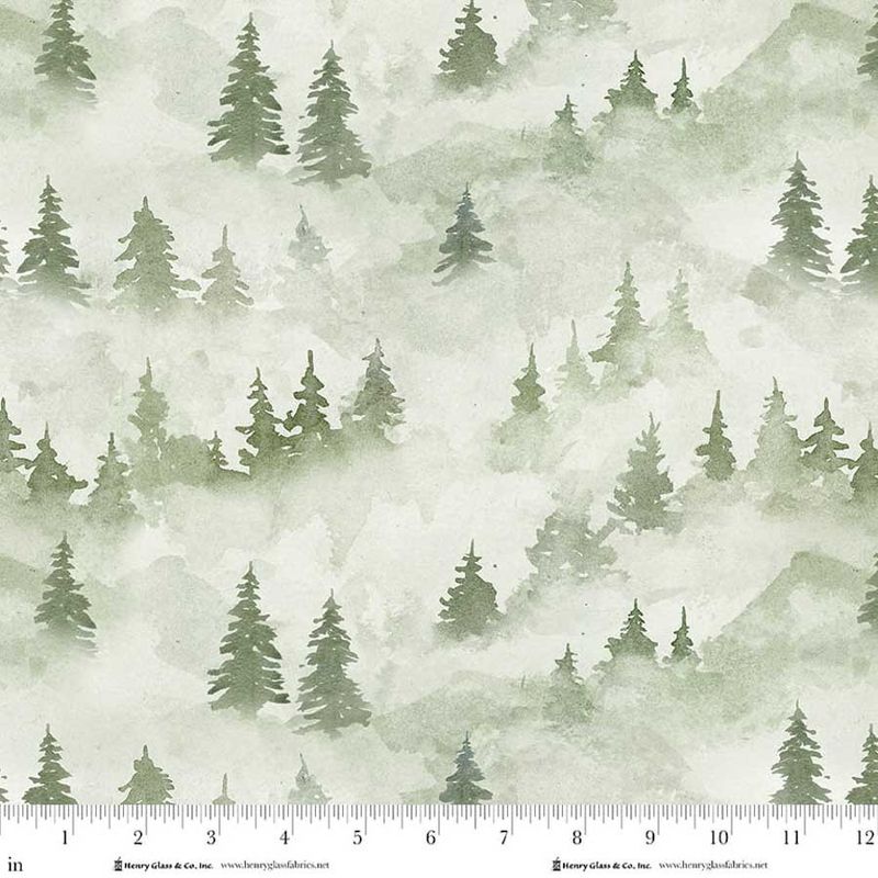Misty Trees | Valley View