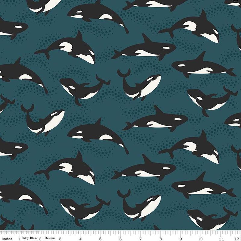 Alaska Orcas