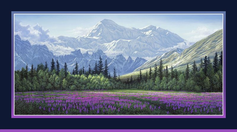 Field of Dreams Panel | Aurora's Passage