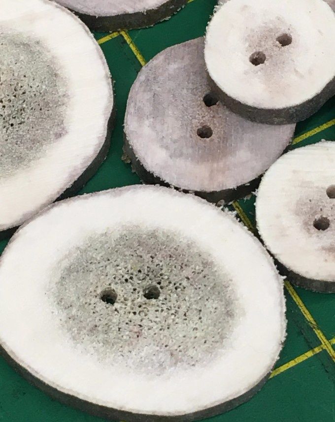 Caribou Antler Buttons Caribou Antler Buttons, Number: Single