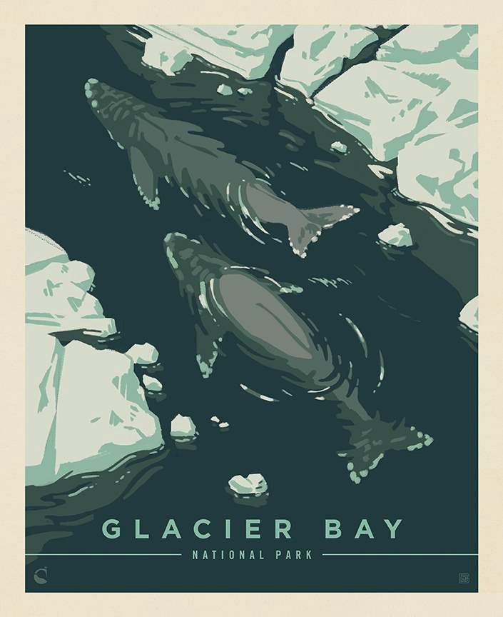 Glacier Bay National Park Whales Poster 36" Panel