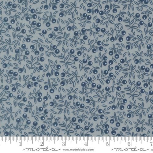 Blueberries | Nature's Sketchbook