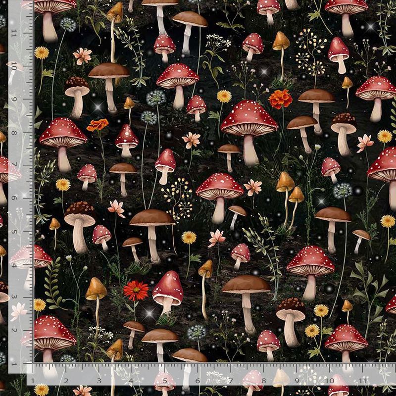 Forest Mushroom I Into the Woods Forest Mushroom I Into the Woods