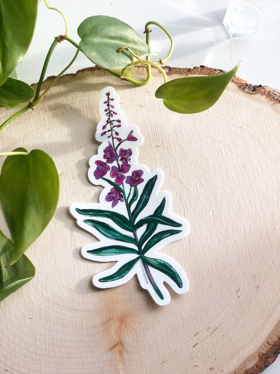 Fireweed Sticker