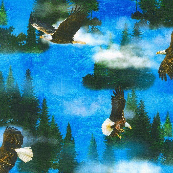 Blue Sky Eagles | Nature's Wonder