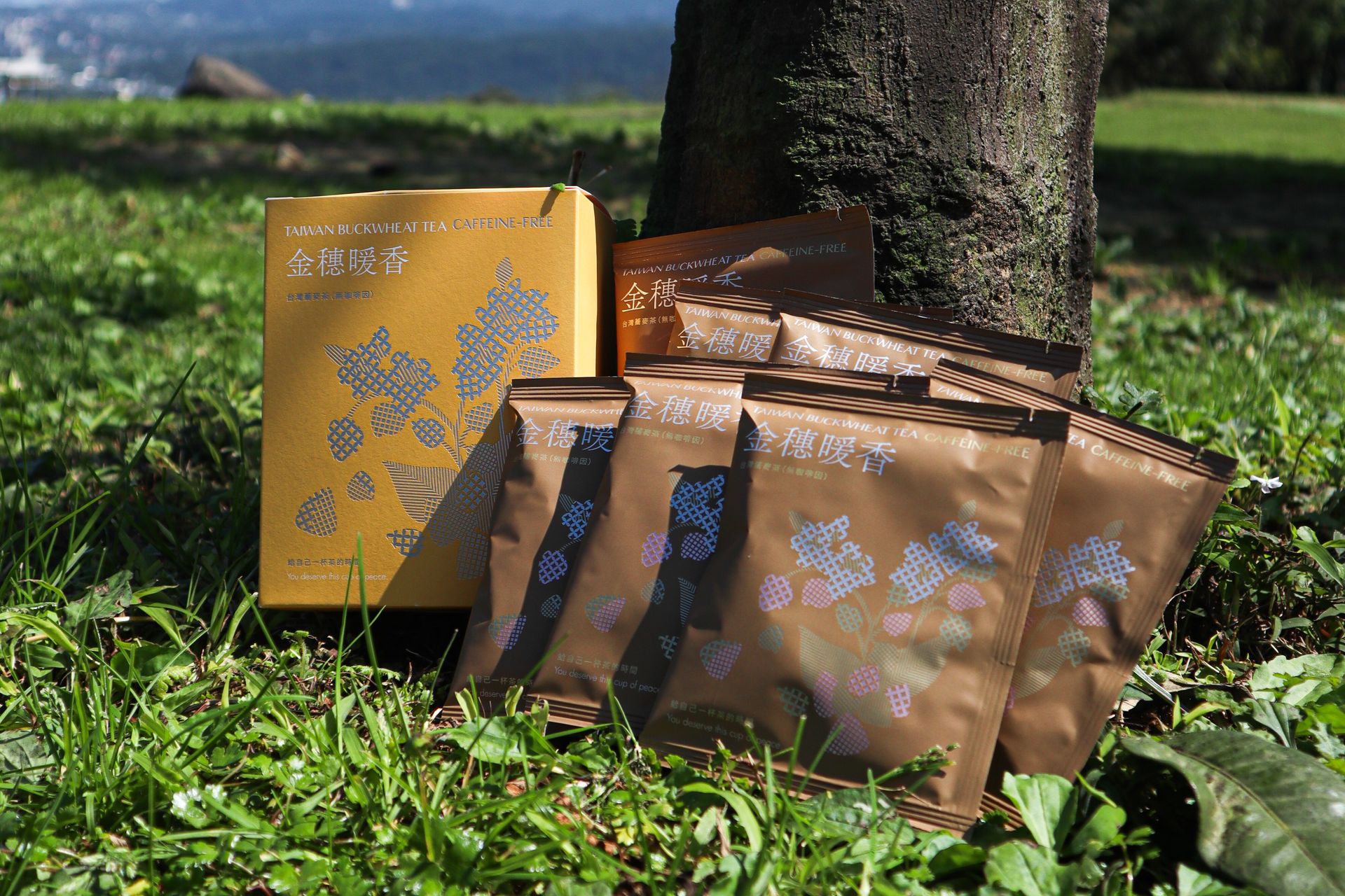 ⭐️拾光茶語系列⭐️｜金穗暖香．台灣蕎麥茶