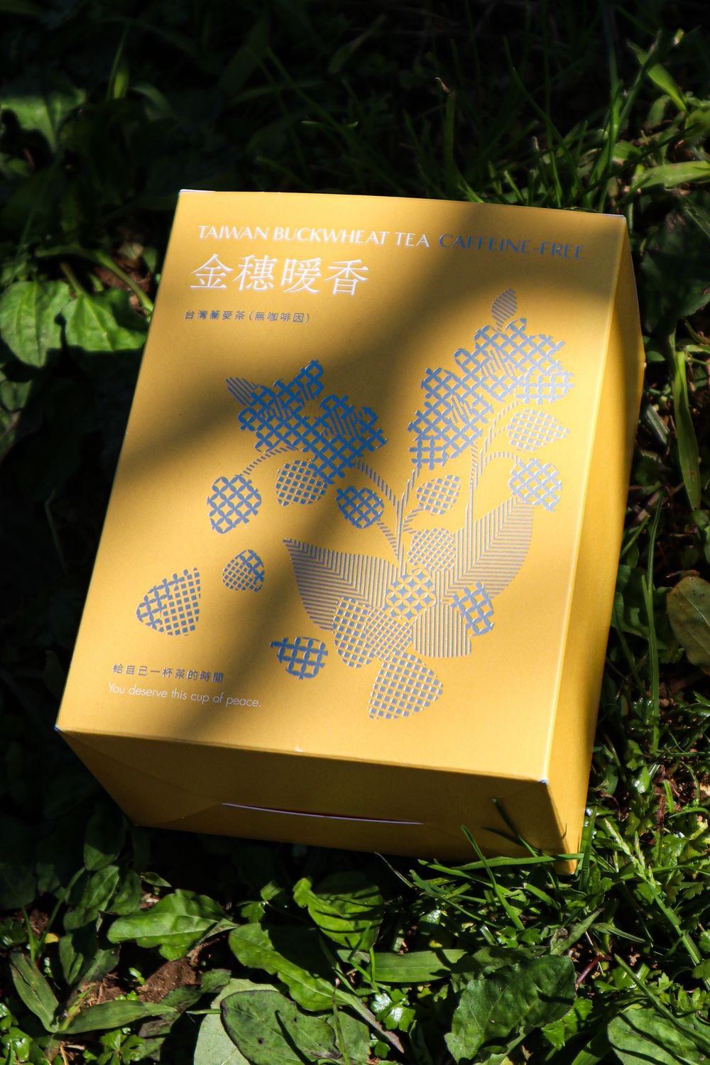 ⭐️拾光茶語系列⭐️｜金穗暖香．台灣蕎麥茶