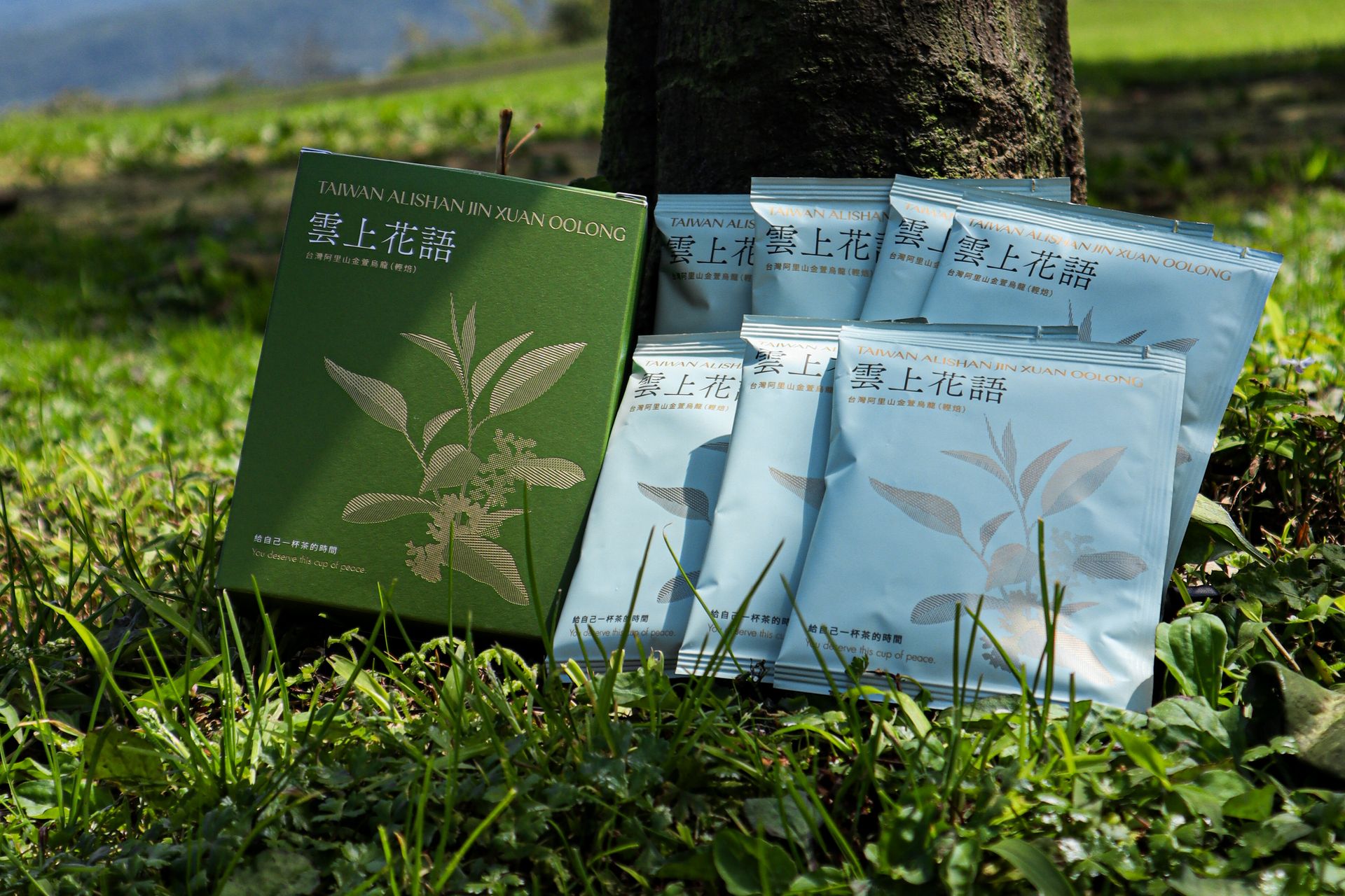 ⭐️拾光茶語系列⭐️｜雲上花語．台灣阿里山金萱烏龍（輕焙）