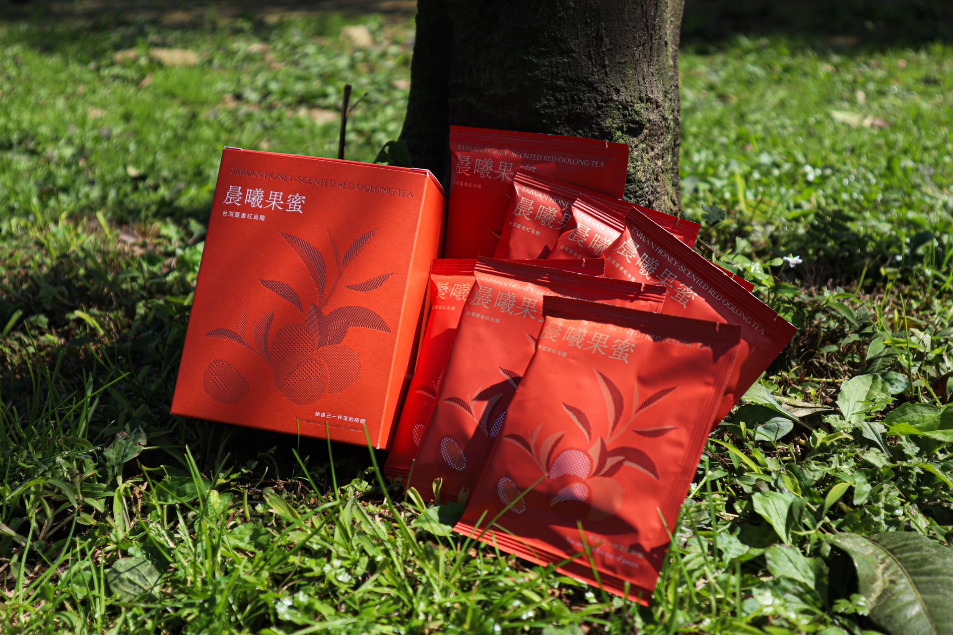 ⭐️拾光茶語系列⭐️｜晨曦果蜜．台灣蜜香紅烏龍