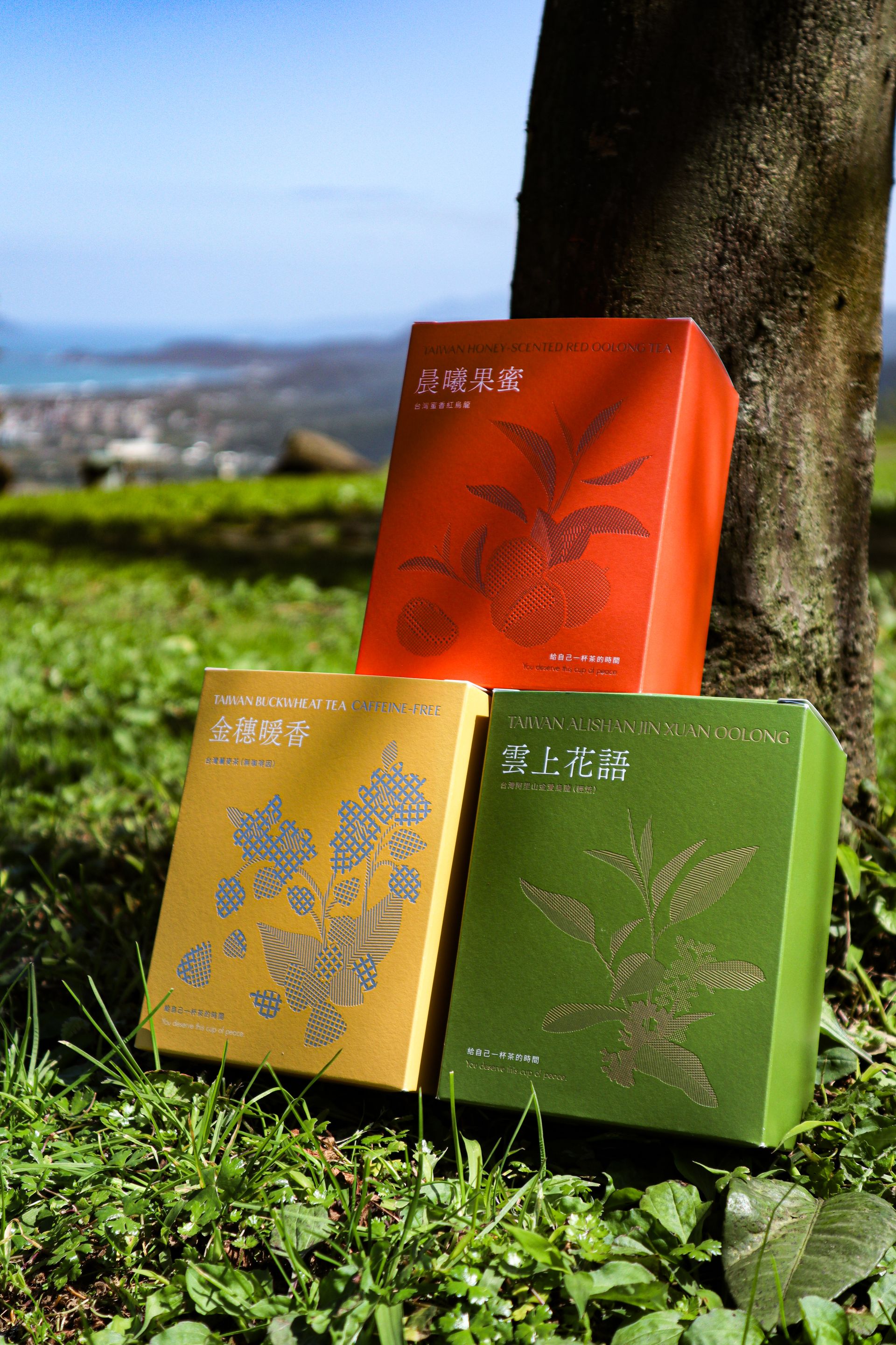 ⭐️拾光茶語禮盒⭐️｜茶包禮盒．經典口味各一盒