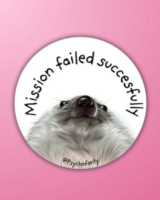 Mission failed