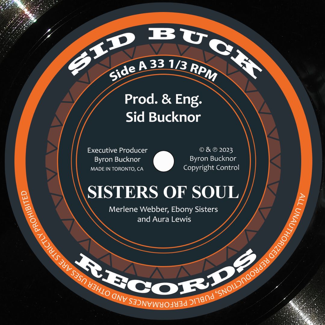 VARIOUS ARTISTS - Sisters Of Soul (LP)