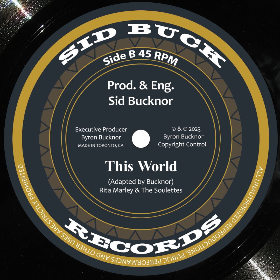 MYSTIC 13 / RITA MARLEY - So Much Trouble / This World (7")