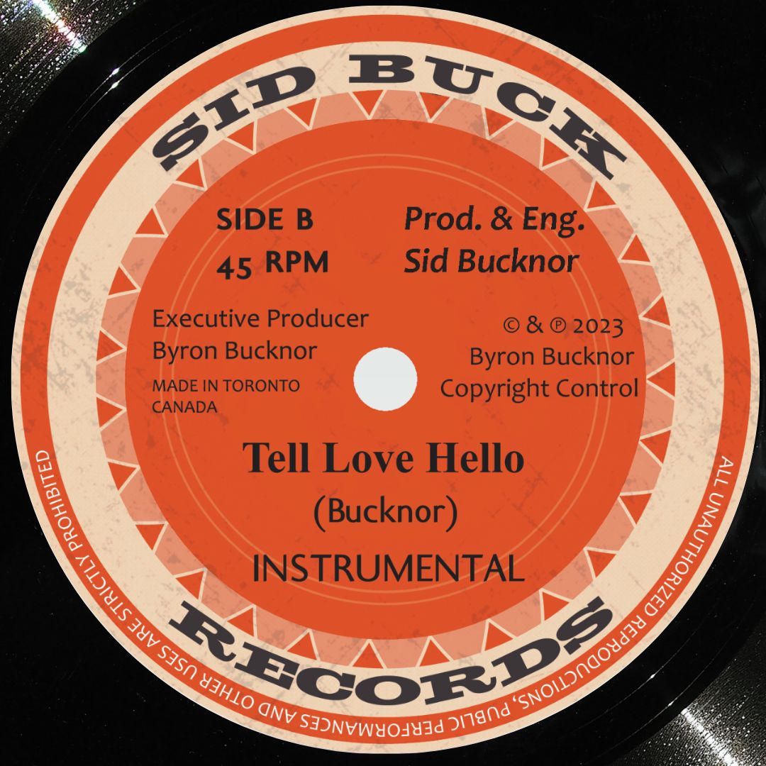 EBOBY SISTERS - Tell Love Hello (7")