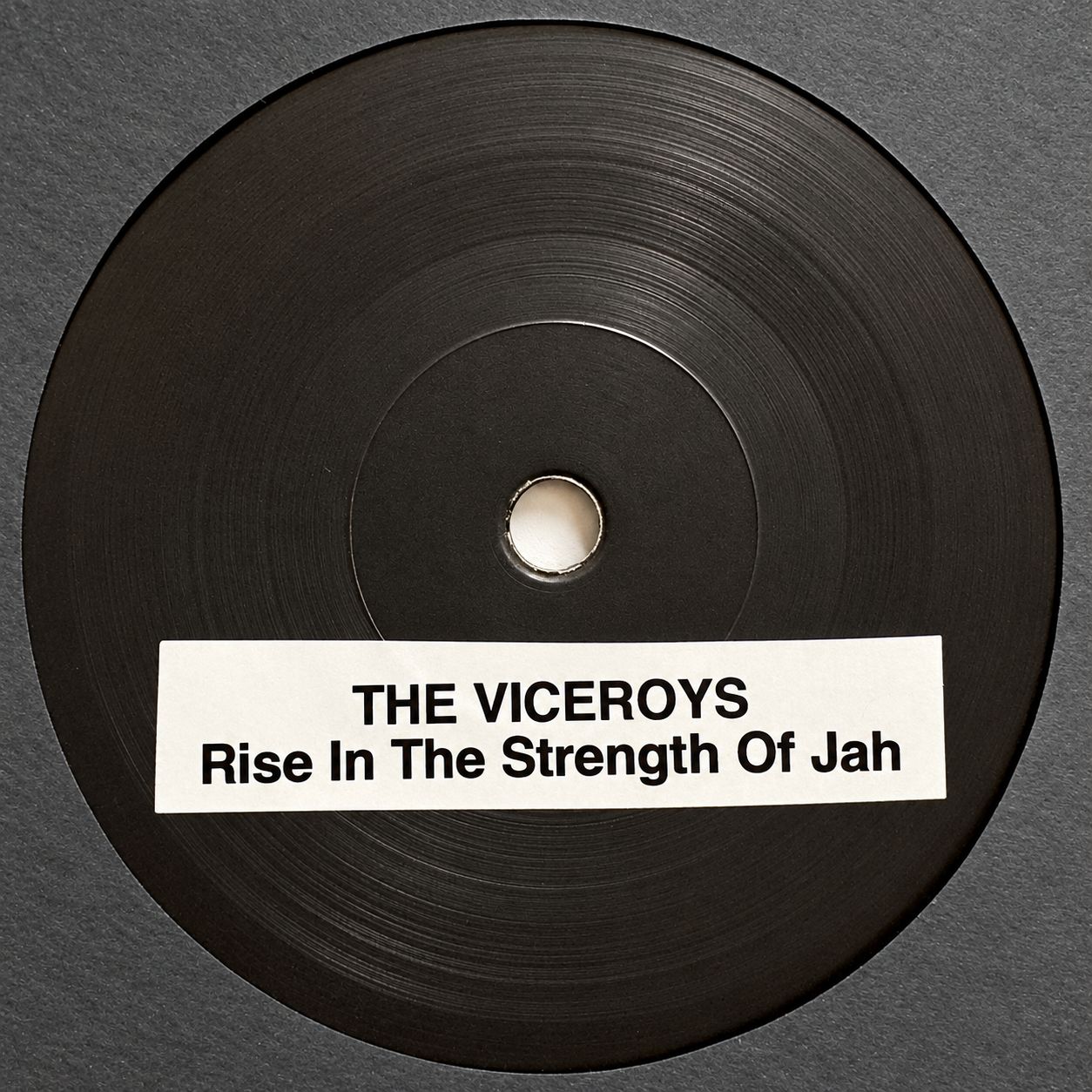 THE VICEROYS - Rise In The Strength Of Jah (7") TEST PRESS