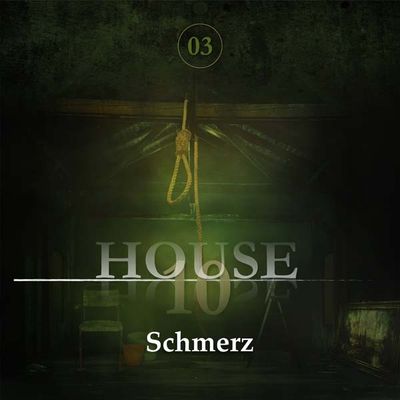 House 10 - 03 - Schmerz