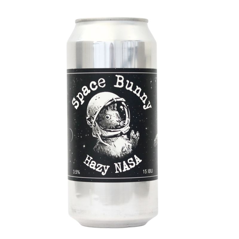 Space Bunny | Hazy NASA