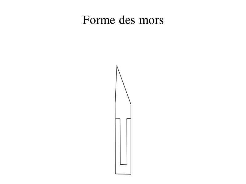 Pince à ongles incarnés branc. Quadrillées 15cm inox