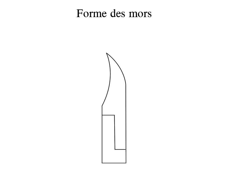 Pince à ongles sécateur 12cm inox