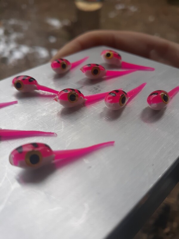 hot pink &amp; white belly1&quot; Nano tiger per 10 per pk