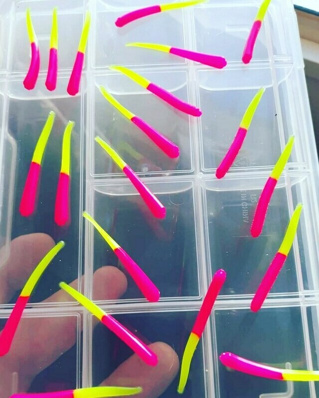 1.5&quot; Venom Wedge   10 per pk   hot pink &amp; chartruse