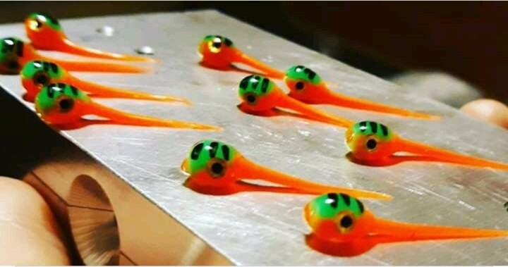 1 1/4&quot; lil Swimmers tiger perch 10 pack