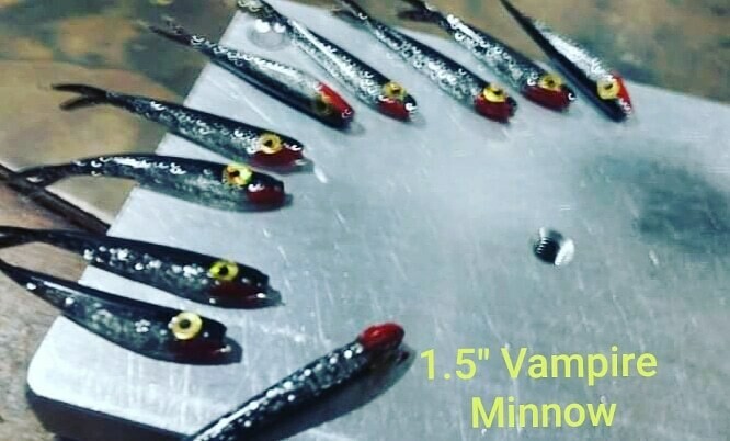 1.5&quot;  Baby fluke vampire 10 per pk